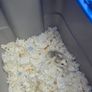 Large hamster cage + accessories + Robovski dwarf hamster Image 9