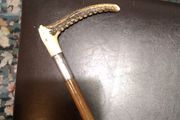 Horse   Cane