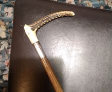 Horse   Cane