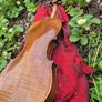 Violin Image 2
