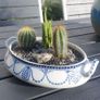Fabulous Antique W. Adams Two-Handled Tureen with Cacti Garden - A Fabulous Unique and Decorative Item for Display Indoors Image 3