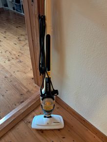 Electric steamer