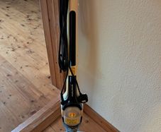 Electric steamer