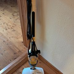 Electric steamer