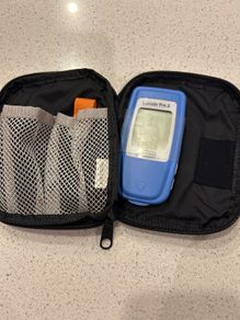 Lactate Pro 2