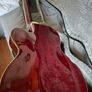 Gretsch G2420T Image 5