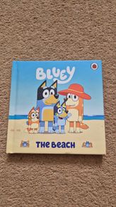 Bluey The Beach