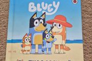 Bluey The Beach
