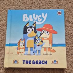 Bluey The Beach