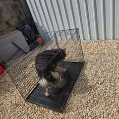 dog crate