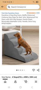 Dog Stairs