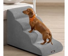 Dog Stairs