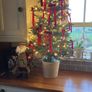 Pre lit 4ft Xmas tree from the Range Image 3