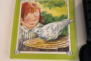 The snow-white pigeon