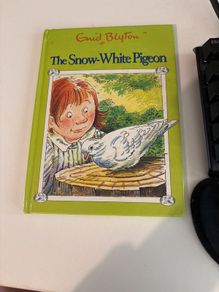 The snow-white pigeon
