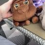 teddies Image 2