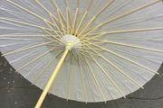 Paper Umbrellas (x30)