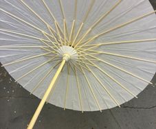 Paper Umbrellas (x30)