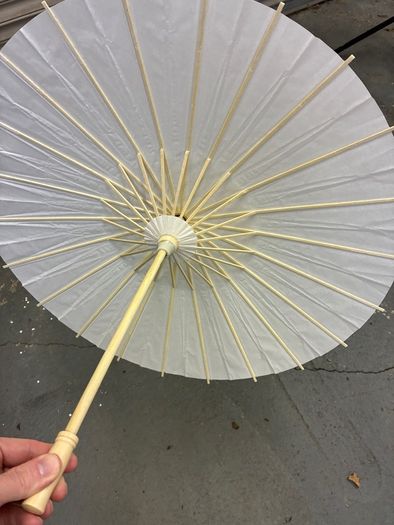 Paper Umbrellas (x30)