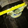 Antique Majolica Vase featuring ornate double handles, Postage Available Image 6