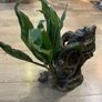 Terrarium/Vivarium Decoration Image 9