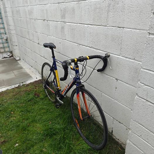 Claude Butler Echelon Road Bike