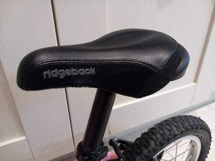 Ridgeback girls bike in great condition