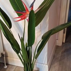 Large artificial plant