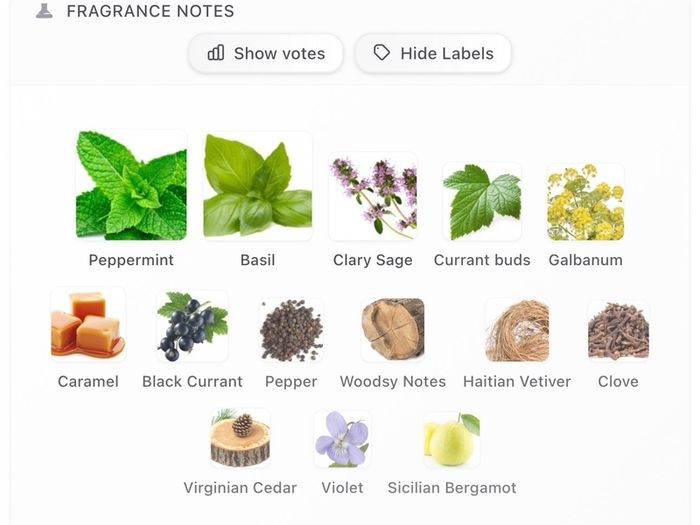 Sora Dora Greasque Extrait de Parfum (Discovery Samples)