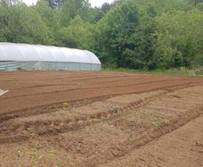 Market garden