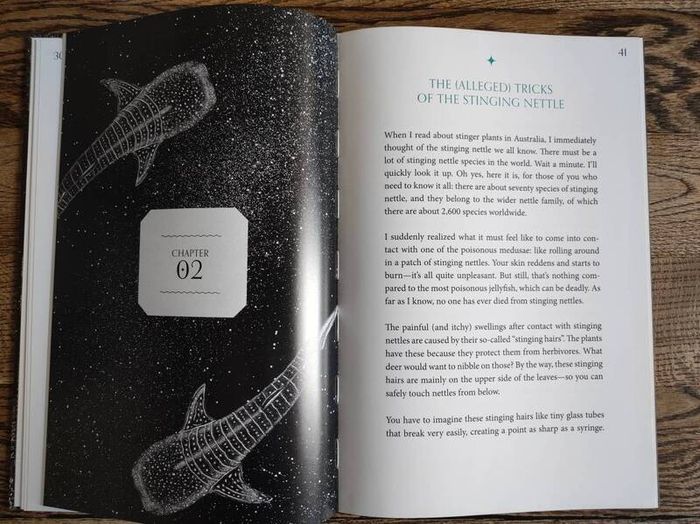 Amazing Jellyfish: Mysterious Dweller of the Deep by Michael Stavaric, Age 9+