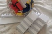 lily hevesh domino's game
