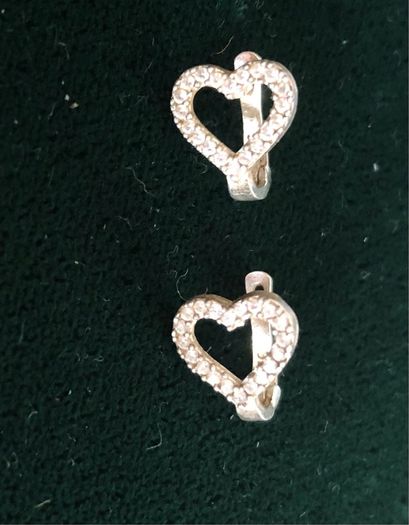 sterling Silver earrings