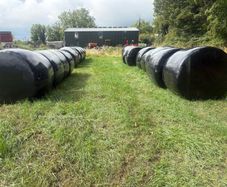 Silage Bales