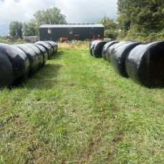 Silage Bales