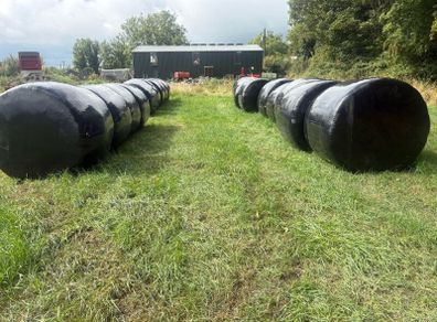 Silage Bales
