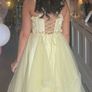 debs dress Image 5