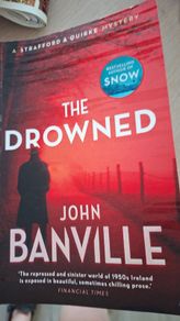 John banville book