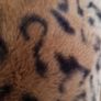 One size, reversible faux short fur long gilet Image 5
