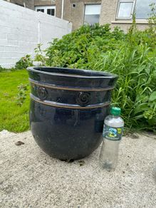 garden pot