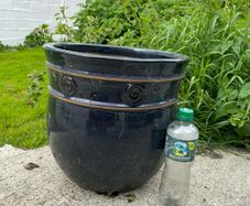 garden pot