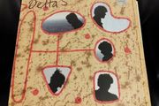 Delta 5 See the whirl lp