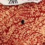 Terracotta, Cream & Black Embroidered Dress by Zara Image 3