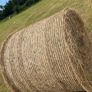Haylage and Hay Image 8