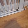 Safety Gates X 2 (flat step) Image 3