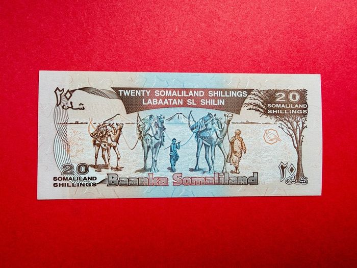 Somaliland  20  Shillings. 1996  Pick 3b  Unc