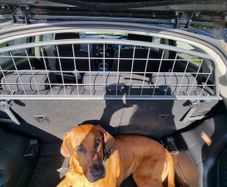 Dog guard for Nissan Juke (2014-2019)