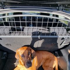 Dog guard for Nissan Juke (2014-2019)
