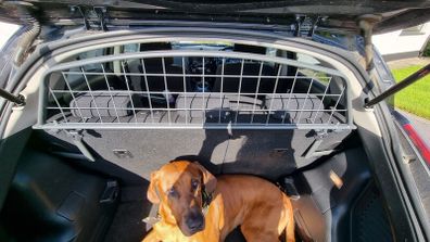 Dog guard for Nissan Juke (2014-2019)