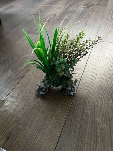 Fish Tank Kit